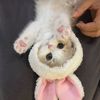 izzpoppy