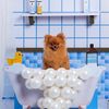 thelady_truffle