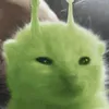 meumowlala