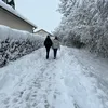 shqiptarf