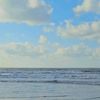 mahmoud_tamer34