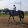 marcysiaax_eqestrian
