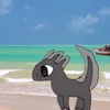 selvagemlote