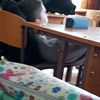 dervanya