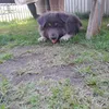 leonknufing12