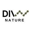 divv.idn