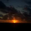 fp_misscee_1306