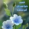 humedad.tan