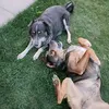 video8678