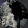 ilf_q7