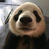 juand_0