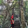asafe_og7