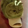 bitottinh0