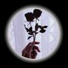 itsmxyrx_