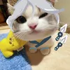tyson_1811