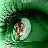 mohamedsalmi438