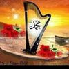 user4699036161295