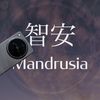 mandrusiatech
