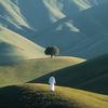 musafir_492
