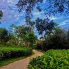 sr.sumit_2