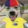 dovahzen_0