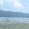 jxxqqe12