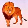 abdulahi.ali.adow2