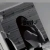 ilina_g1