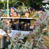 nyonya_oki2
