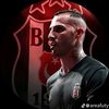 kartalice.semaa