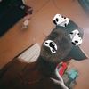 lkarcaro_1518