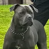 jotohk