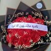 aya.elaraby34