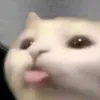 yaniiyanii5