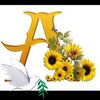 auri.garca