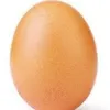 egg_yolk_mc_muffin