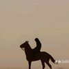 shahm11288