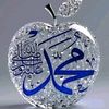 babybushra24