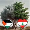 adonis_kalaf