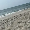 erinelizabethhhhhhhh