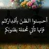 youzersef123p