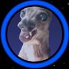 smokey_643