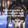 mauriciosuarez349