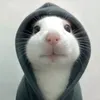 hmmmtiktok.com