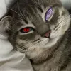 ngoisaoken