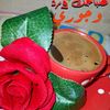 user3046127853315