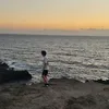vanini_31
