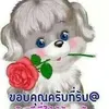 useru577k5q7ph