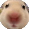 userc7eo9q8j6b6