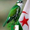 user324812193709